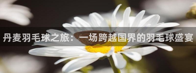 HB火博app官网