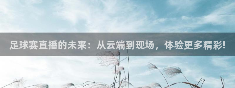 HB火博·(中国)体育