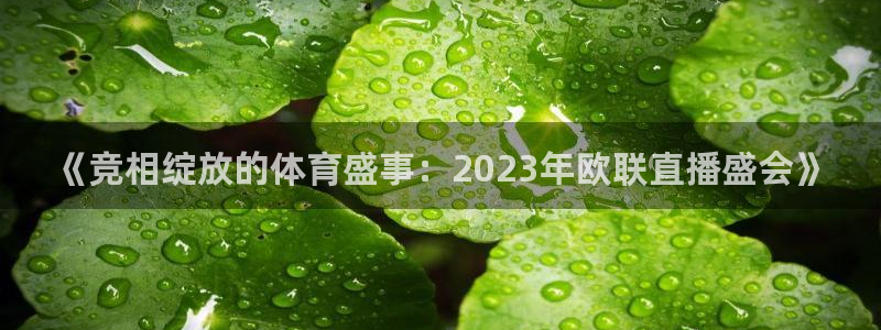 蜘蛛体育：《竞相绽放的体育盛事：2023年欧联直播盛会》