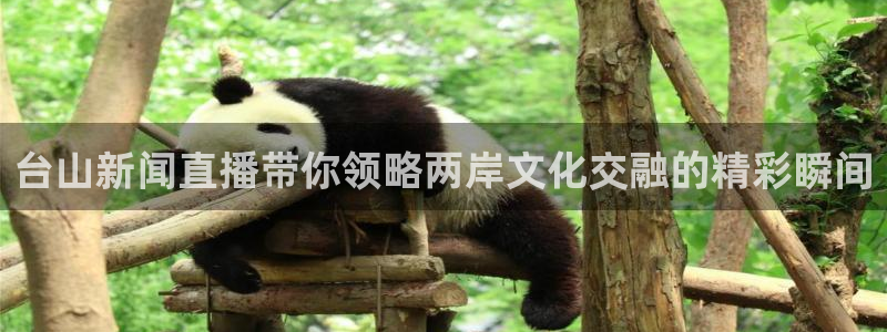 蜘蛛体育nba：台山新闻直播带你领略两岸文化交融的精彩瞬间