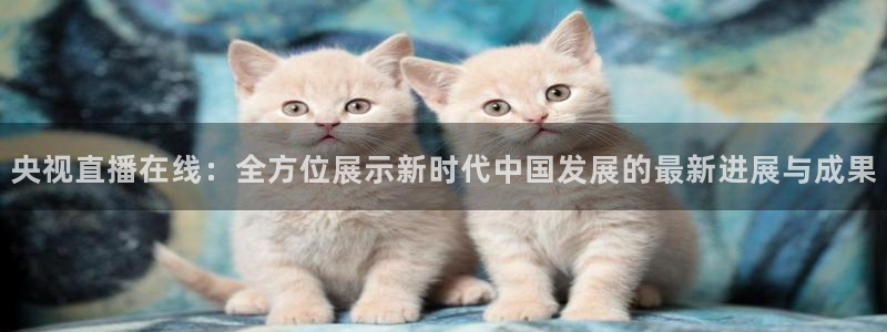 蜘蛛体育免费：央视直播在线：全方位展示新时代中国发展的最新进展与成果
